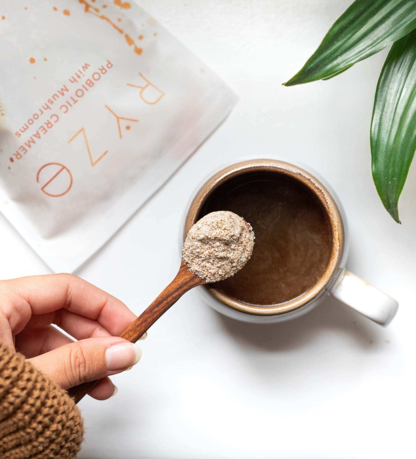 Try our Probiotic Creamer for 50% OFF! - KIYC