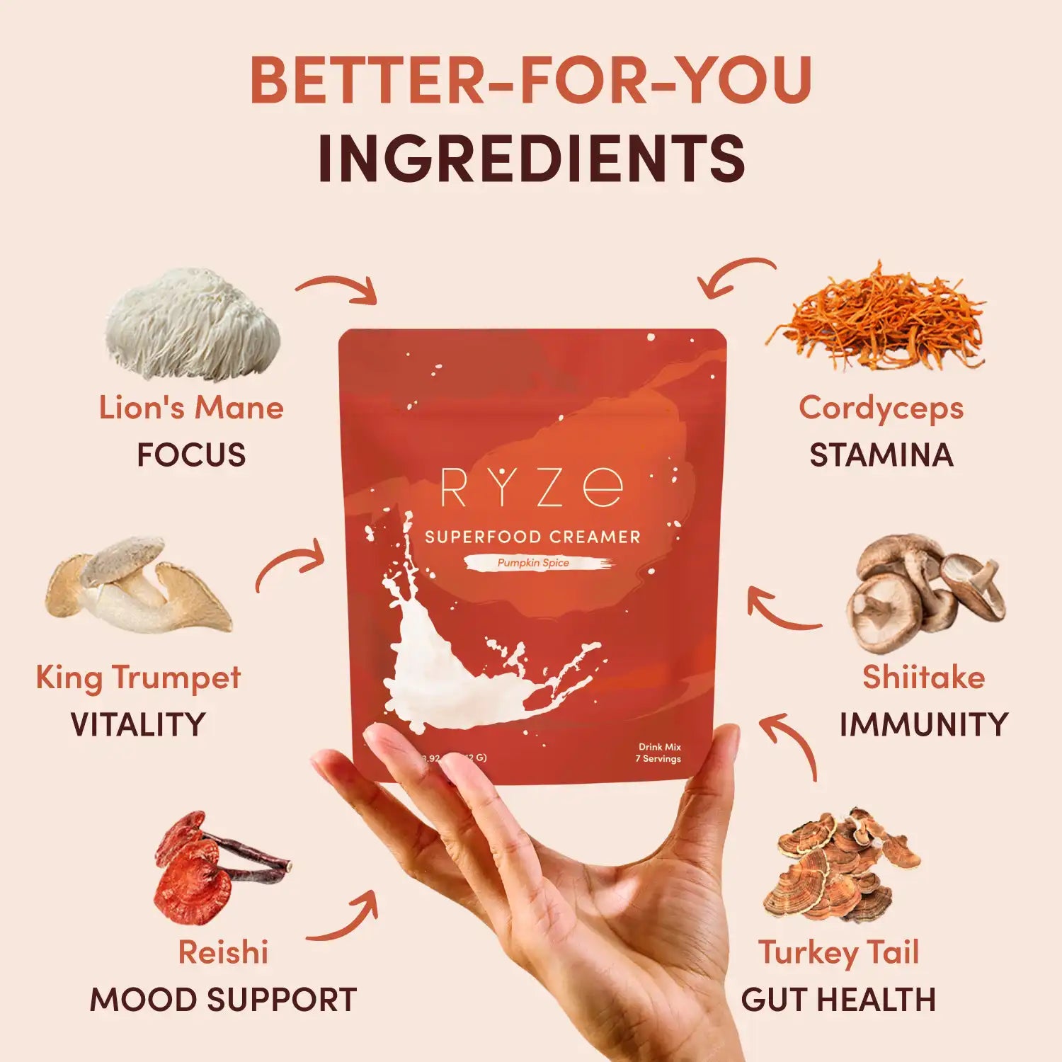 Pumpkin Spice Superfood Creamer Add-On (SPECIAL PRICING) - BN1S