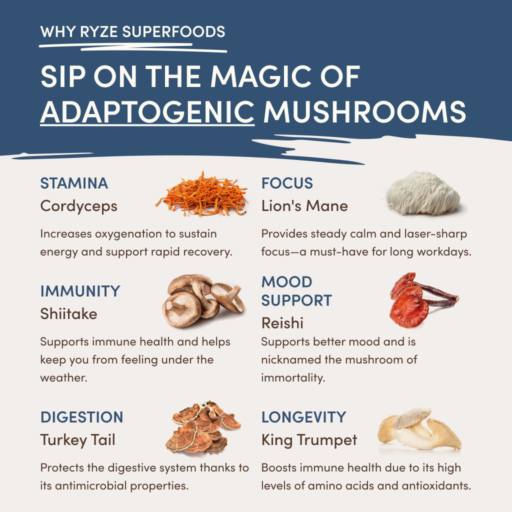 RYZE Nighttime Mushroom Cocoa Starter Bag - HYIE