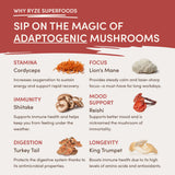 RYZE Mushroom Chai Starter Bag - VZD0