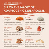 Mushroom Coffee (1 pack - 30 Servings) - M1M9