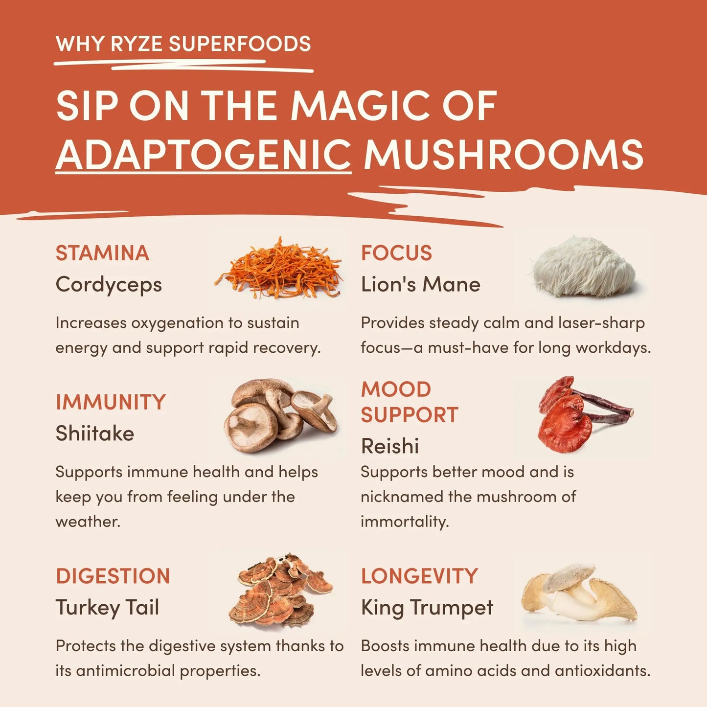 Mushroom Coffee (1 pack - 30 Servings) - M1M9