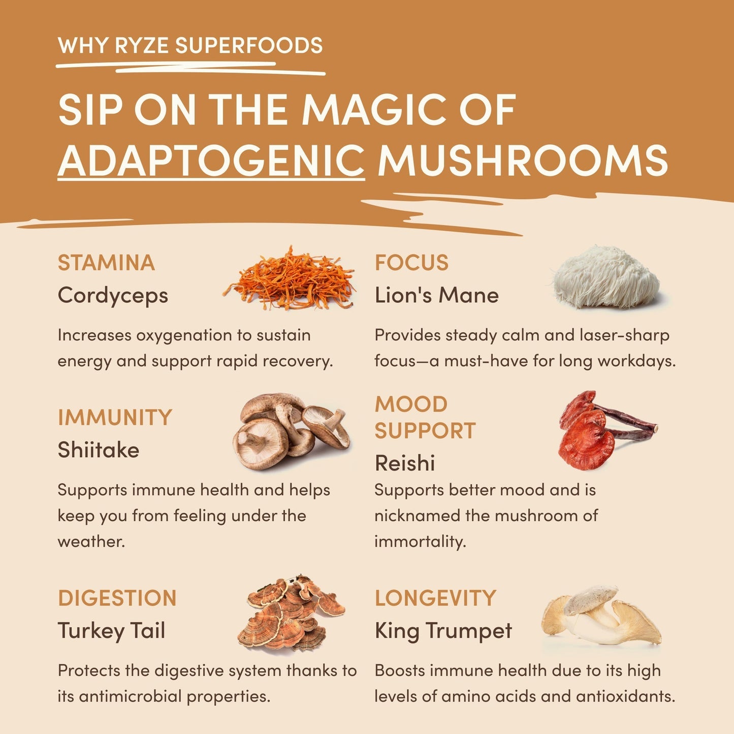 Mushroom Overnight Oats 14 Servings - KO1B