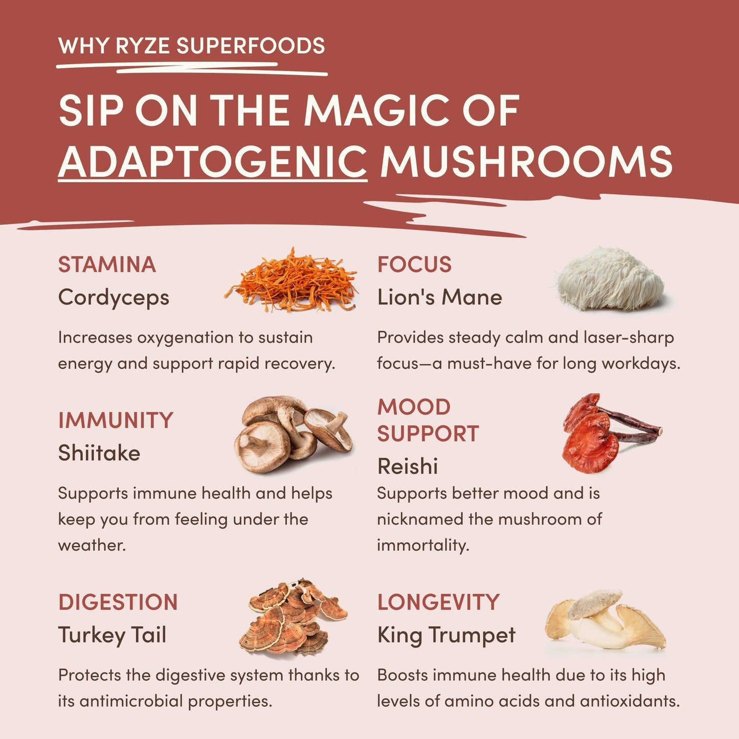 Mushroom Chicory (1 Pack - 30 Servings) - 3OF5