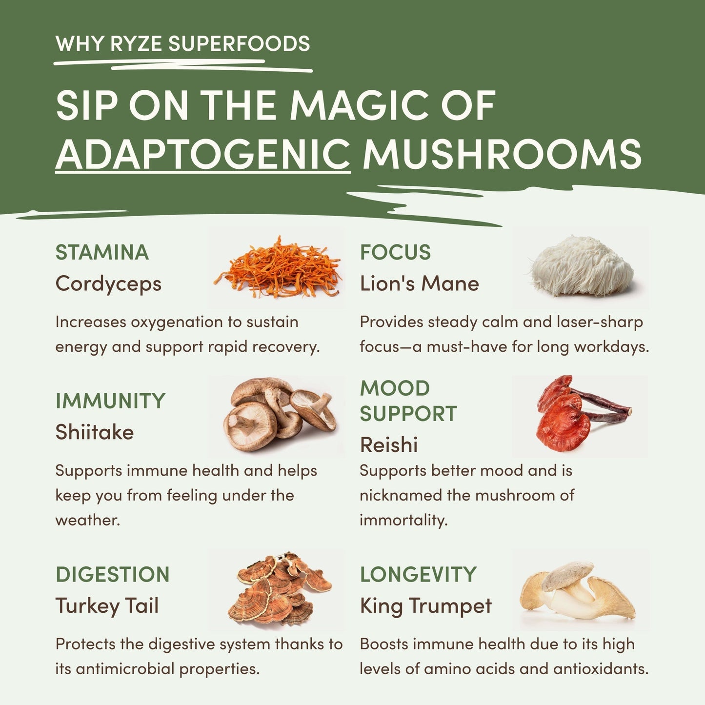 Mushroom Matcha (1 Pack - 30 Servings) - 2Z6T