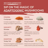 Mushroom Chai (1 Pack - 20 Servings) - YRV9