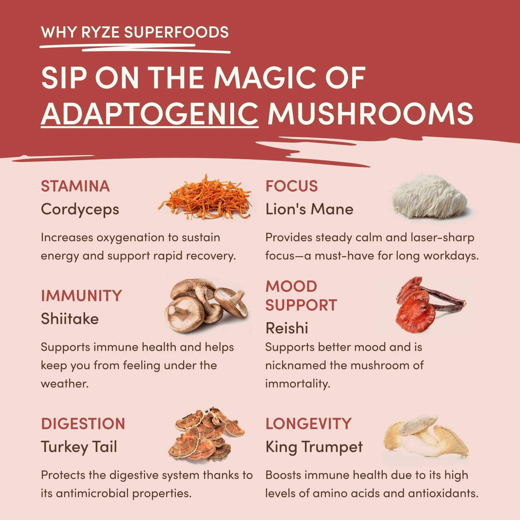 Mushroom Chai (1 Pack - 20 Servings) - YRV9