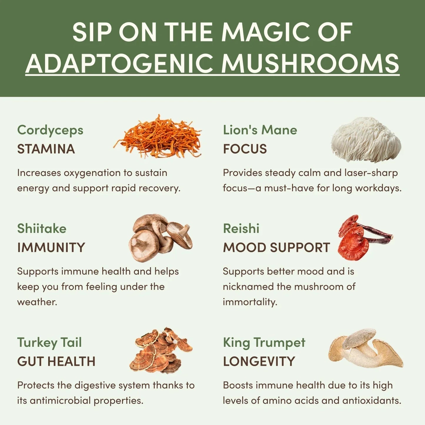 Mushroom Matcha Starter Kit (60 Servings) - 7SIW