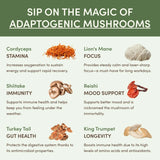 Mushroom Matcha (30 Servings) - OWP6