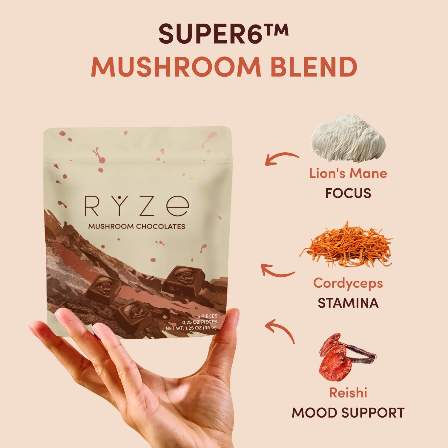 Mushroom Chocolates Rye (15 pieces) - I81X