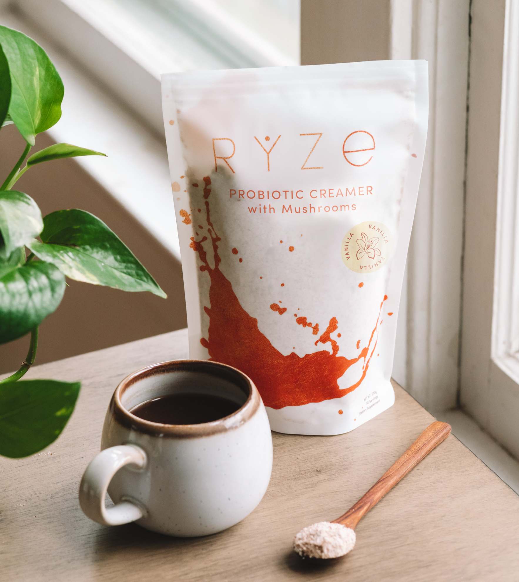 Probiotic Creamer: 30 Servings - HEEL