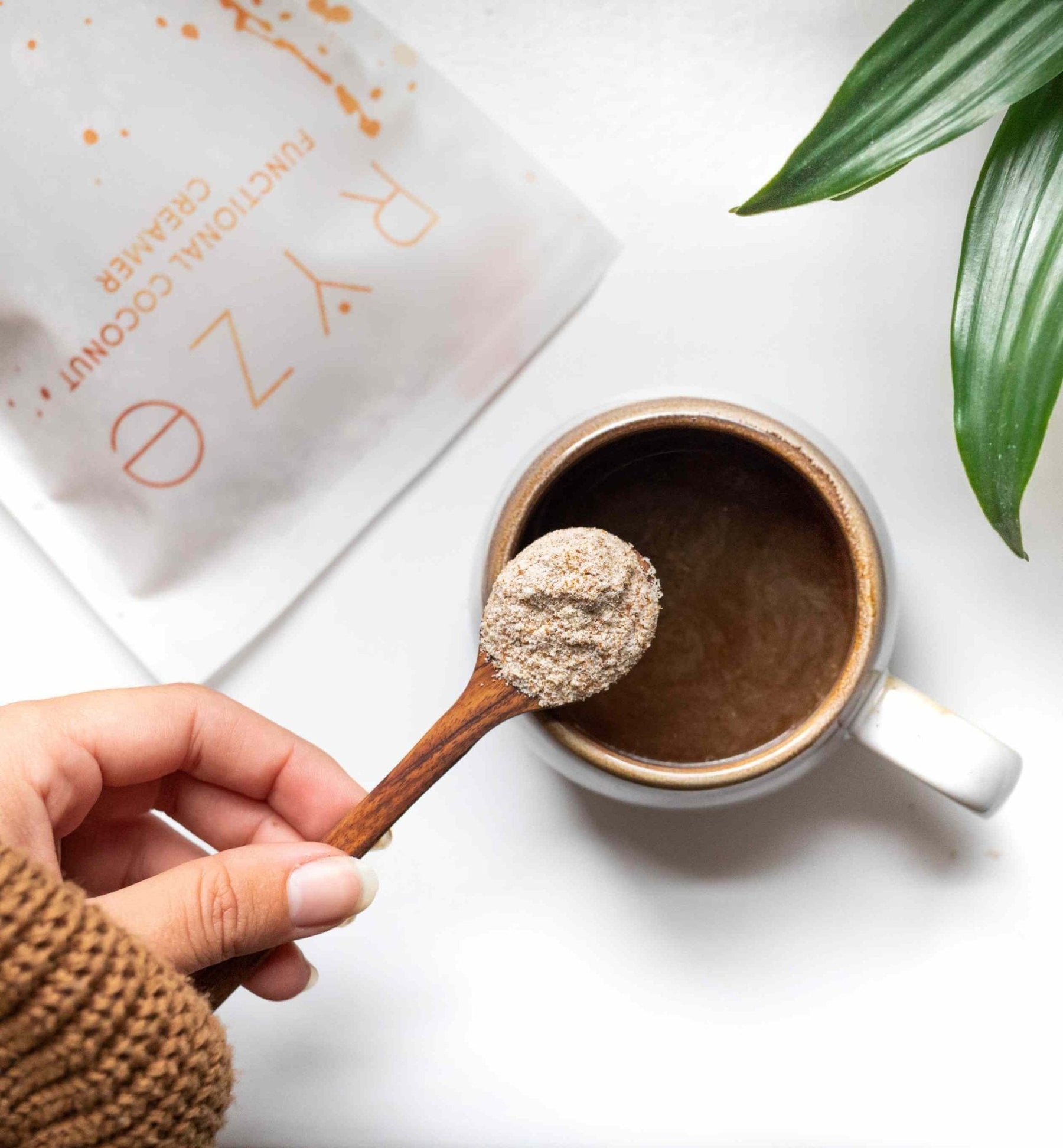 Probiotic Creamer (SPECIAL PRICING) - M0JS