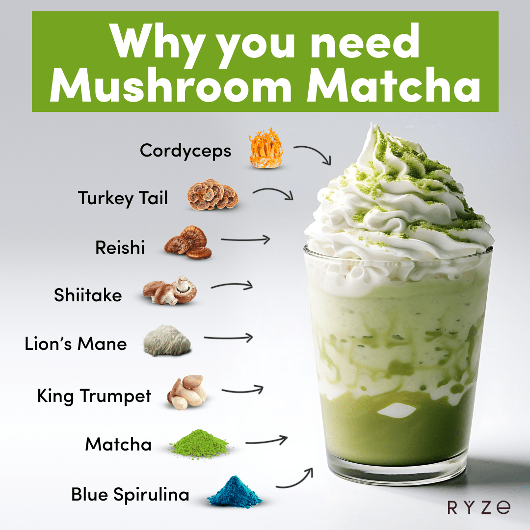 RYZE Mushroom Matcha - with 6 Organic Adaptogenic Mushrooms Grown In USA and Ceremonial-Grade Japanese Matcha - PYGC