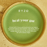 RYZE Mushroom Matcha - with 6 Organic Adaptogenic Mushrooms Grown In USA and Ceremonial-Grade Japanese Matcha - PYGC