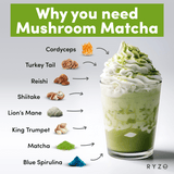 RYZE Organic Mushroom Matcha Starter Kit (60 servings) - VRZW